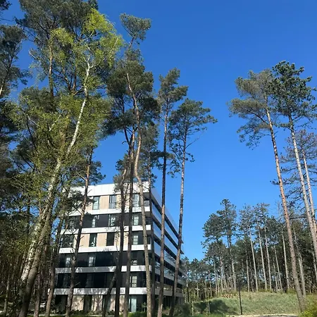 Krab Aktena Shellter