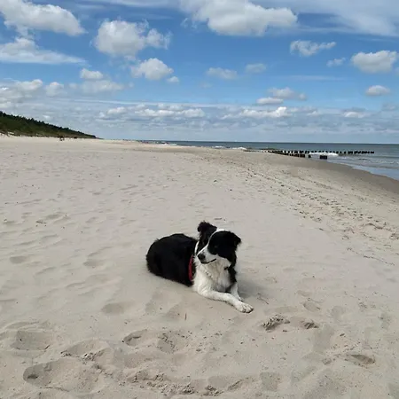 아파트 Krab Aktena Shellter *