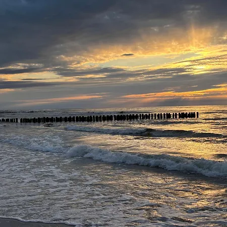 Krab Aktena Shellter 로고보