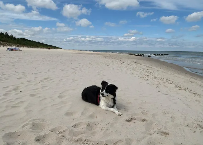 شقة Krab Aktena Shellter *