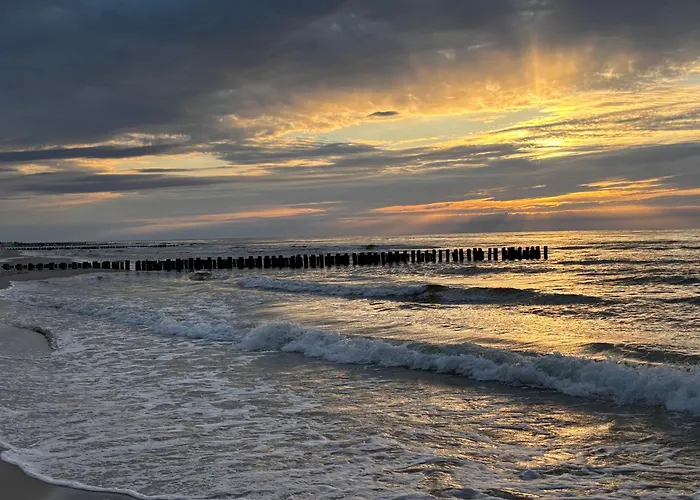 Krab Aktena Shellter 로고보